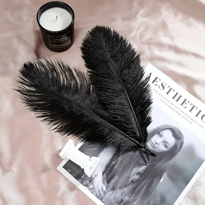 Supply Wedding Venue - 10Pcs Black Ostrich Feathers 15-40cm for