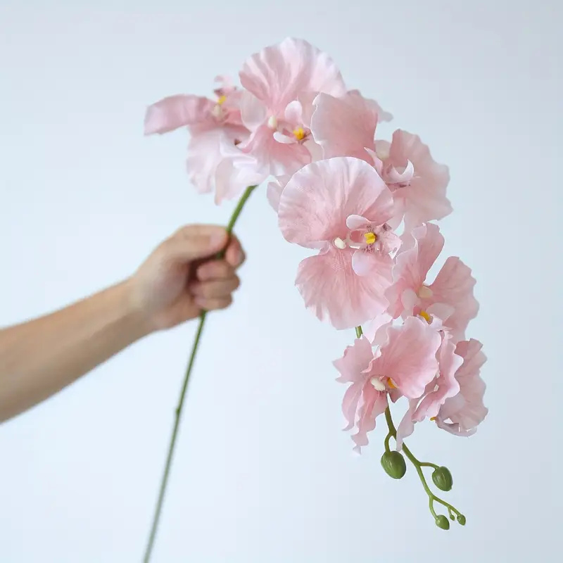 Long Branch Butterfly Orchids  - đánh giá và giá Wedding Arch Flower