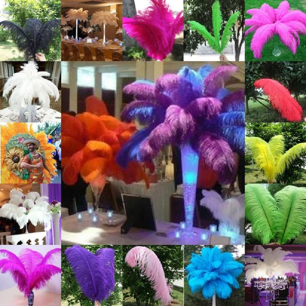 10Pcs Black Ostrich Feathers 1 - đánh giá và giá Supply Wedding Venue
